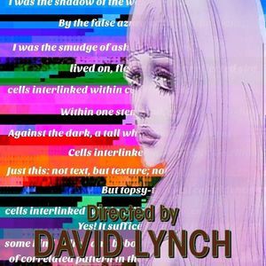 Meet your Posher, Iggy